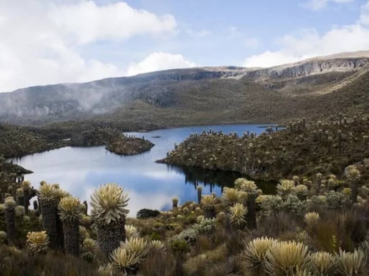 El Parque Nacional Natural de Los Nevados cerrará entre el 14 y 20 de noviembre