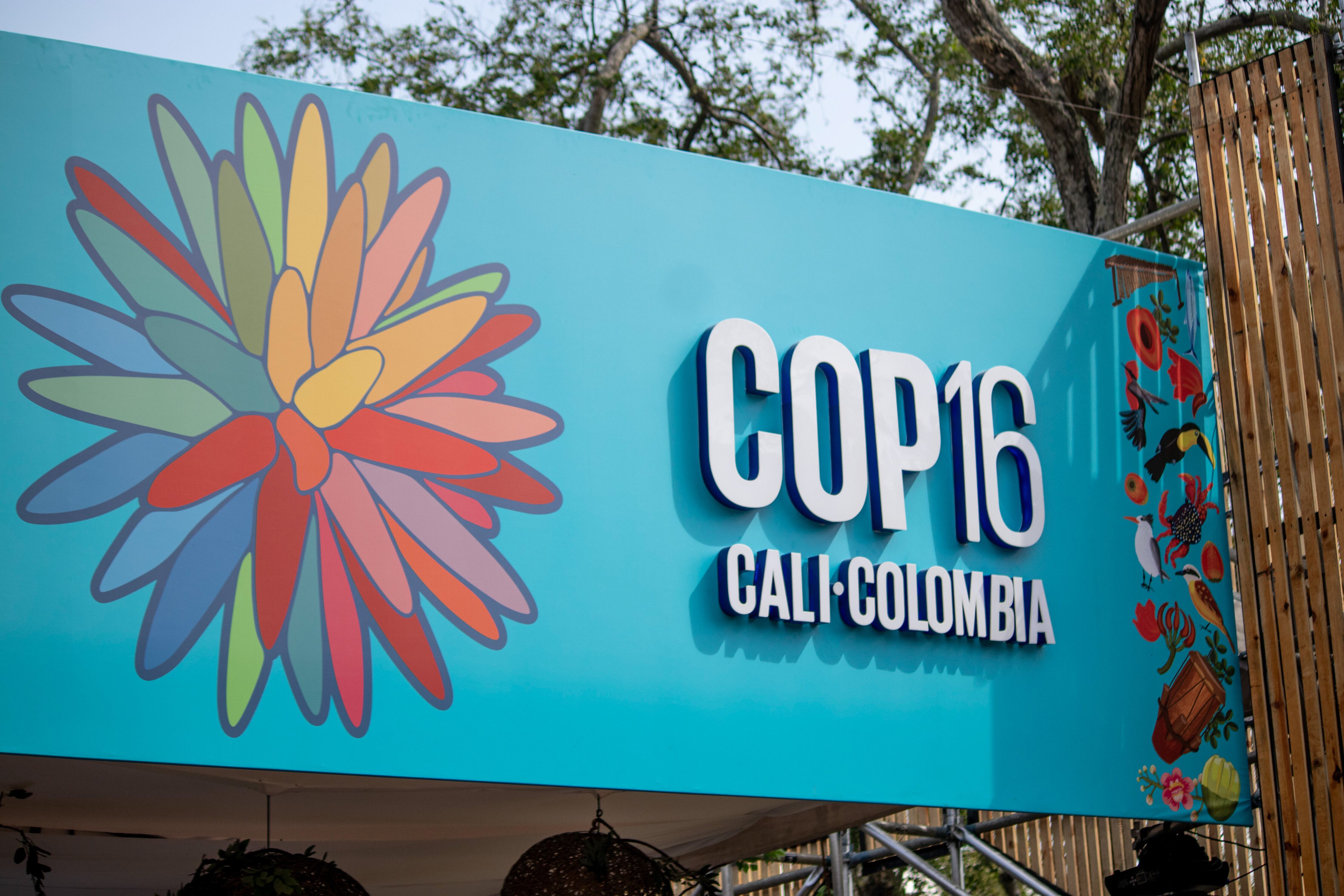 La COP16 se llevará a cabo en la ciudad de Cali, Colombia. / Getty Images