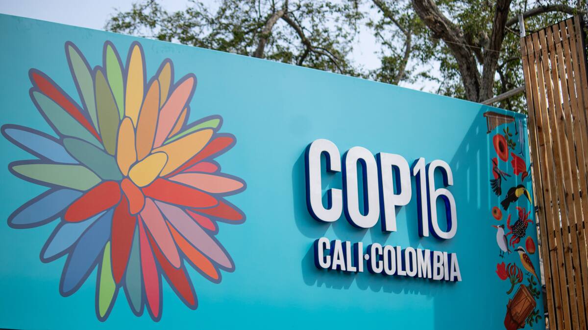 Senado aprobó en último debate la exención del IVA para la COP16 en Cali