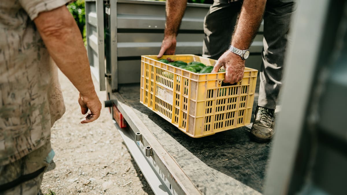 MinAgricultura lanzará un subsidio a los insumos para pequeños productores