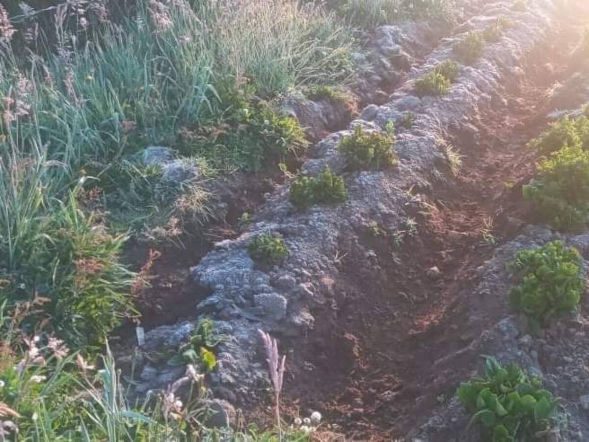 Heladas causan grave afectación a cultivos en Totoró y Puracé, Cauca