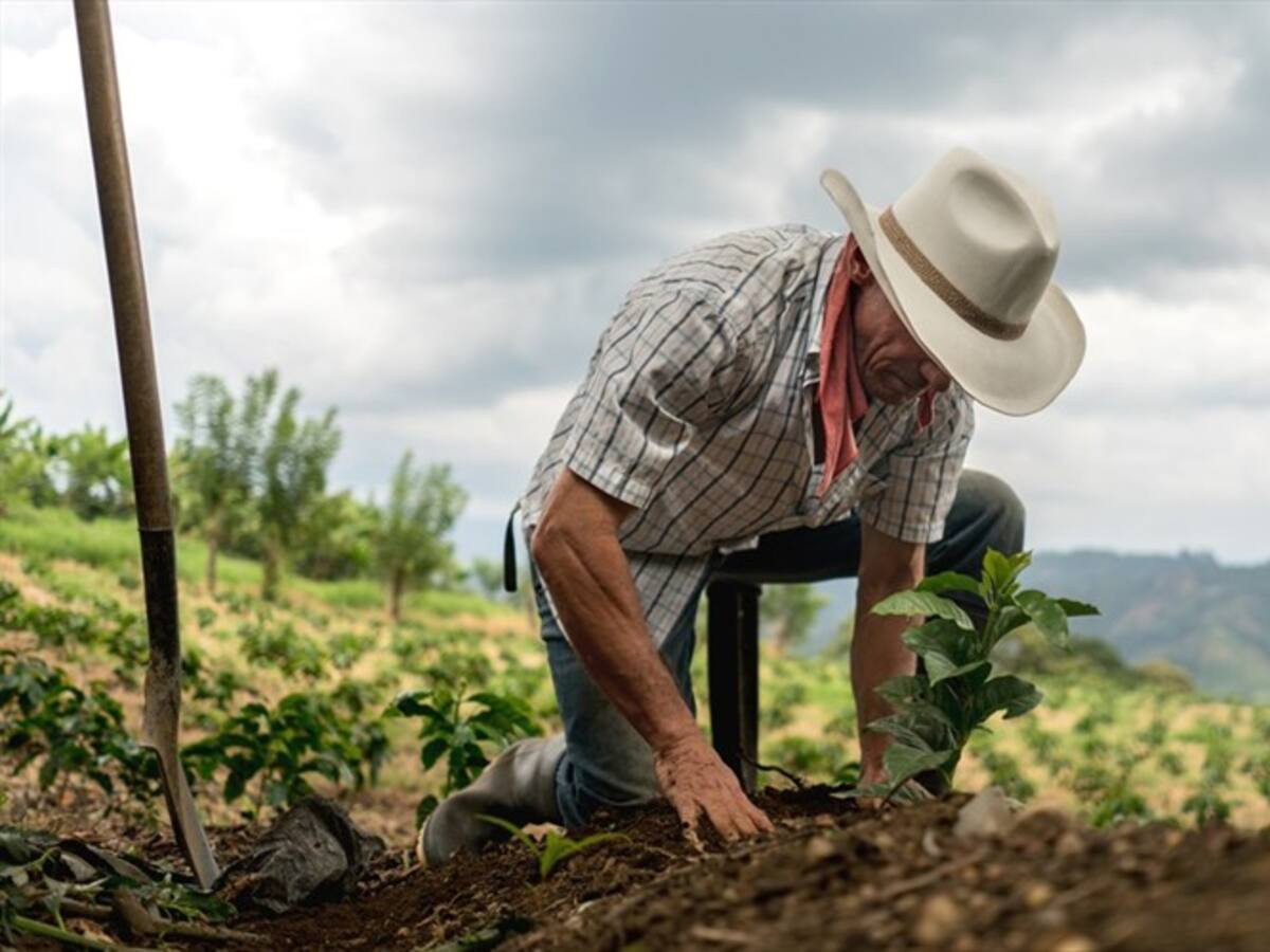 Minagricultura y Fedegán firmaron acuerdo para potenciar la comercialización del campo