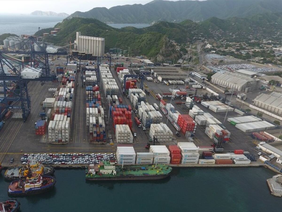 Por Santa Marta se exporta el 45% del mercado nacional de aguacates