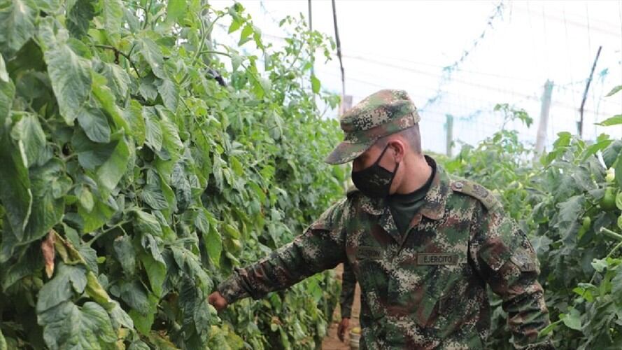 Tres uniformados arrojaron positivo para COVID - 19 . Foto:Quinta Brigada.