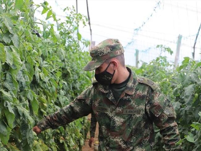 Tres uniformados arrojaron positivo para COVID - 19 . Foto:Quinta Brigada.