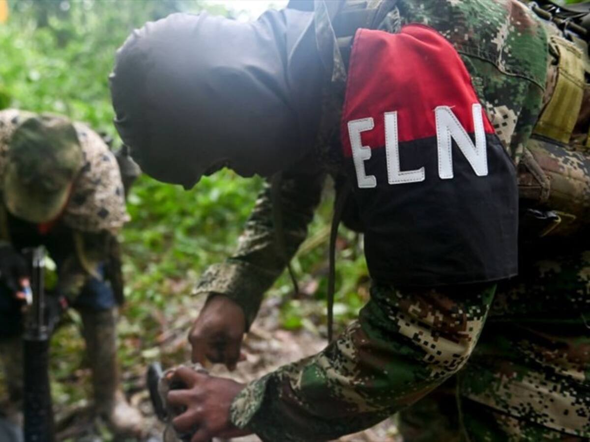 Se han desmovilizado 47 integrantes del ELN en el Cauca