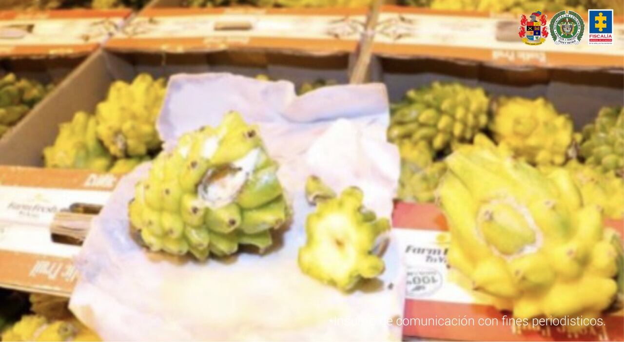 En Pitayas transportaban cocaína a China. Foto: Fiscalía General de la Nación