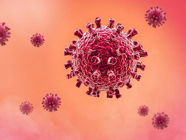 La OMS registró los tipos de variantes del COVID-19. Foto: Getty Images/Cavan Images