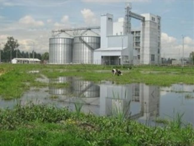 Revelan pruebas que demostrarían responsabilidad de Big Cola en la contaminación de humedal en Funza