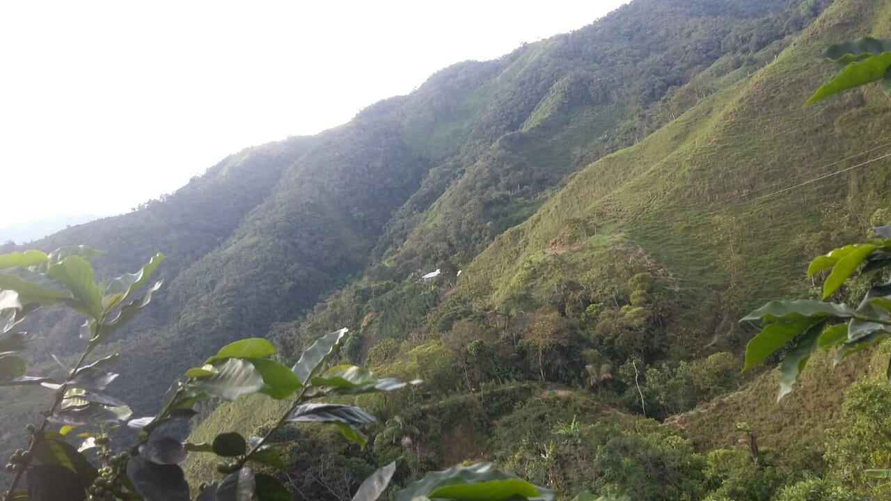 Imagen de referencia. Foto: Colprensa.
