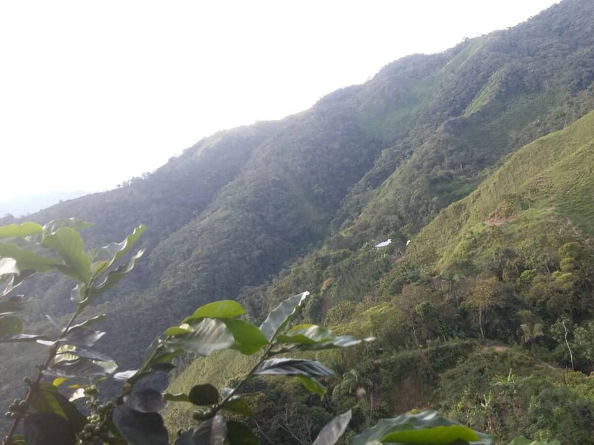 La ANT dice que Fedegán tiene disposición para cumplir con acuerdo de tierras