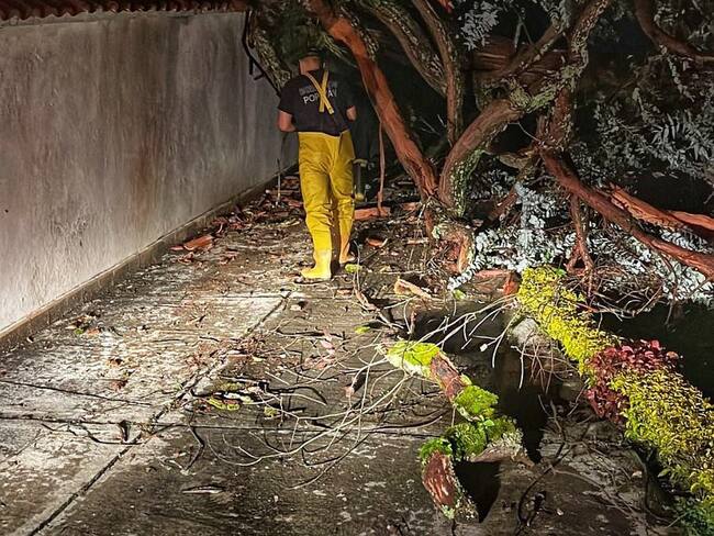 La caída de un árbol en el barrio El Recuerdo afectó dos viviendas. Crédito: Bomberos Popayán.