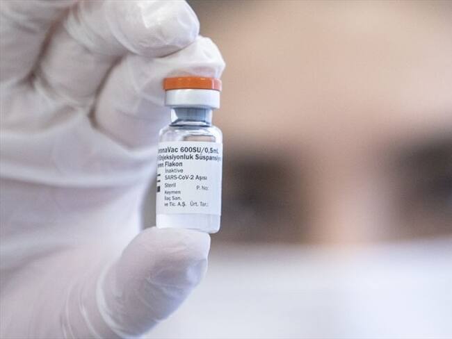 Compra de vacunas adicionales de Sinovac . Foto: Getty Images