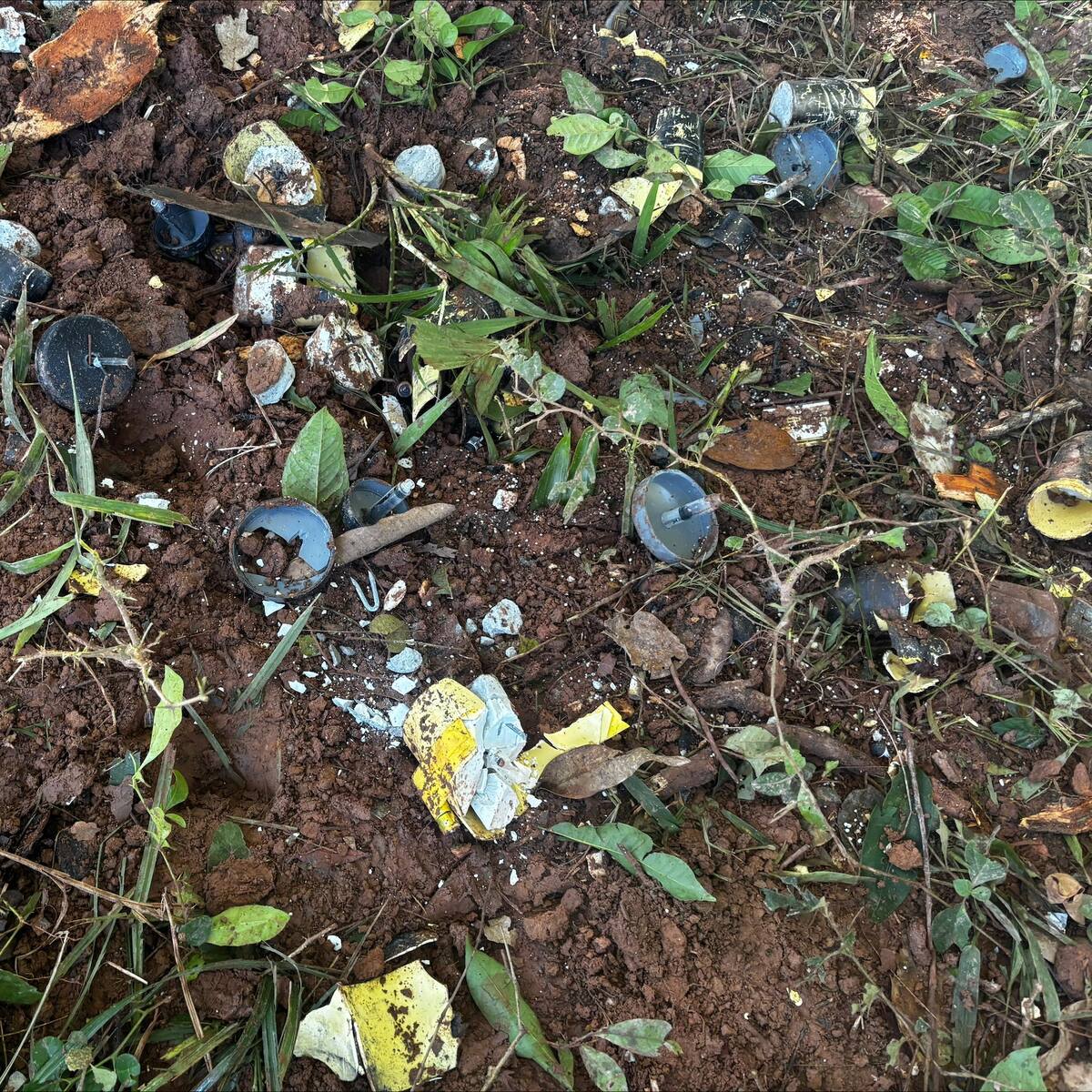 Ejército Nacional destruyó 18 minas antipersonal en el Meta