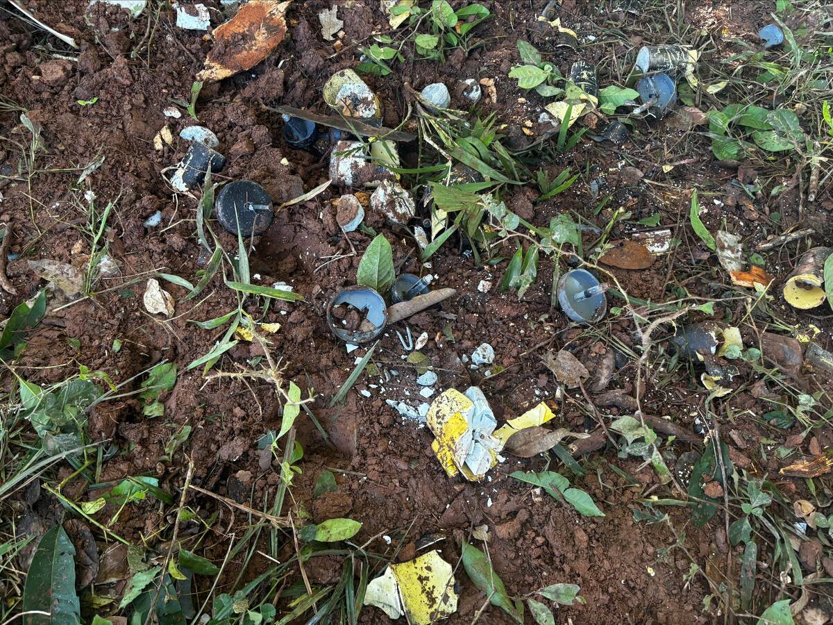 Ejército Nacional destruyó 18 minas antipersonal en el Meta