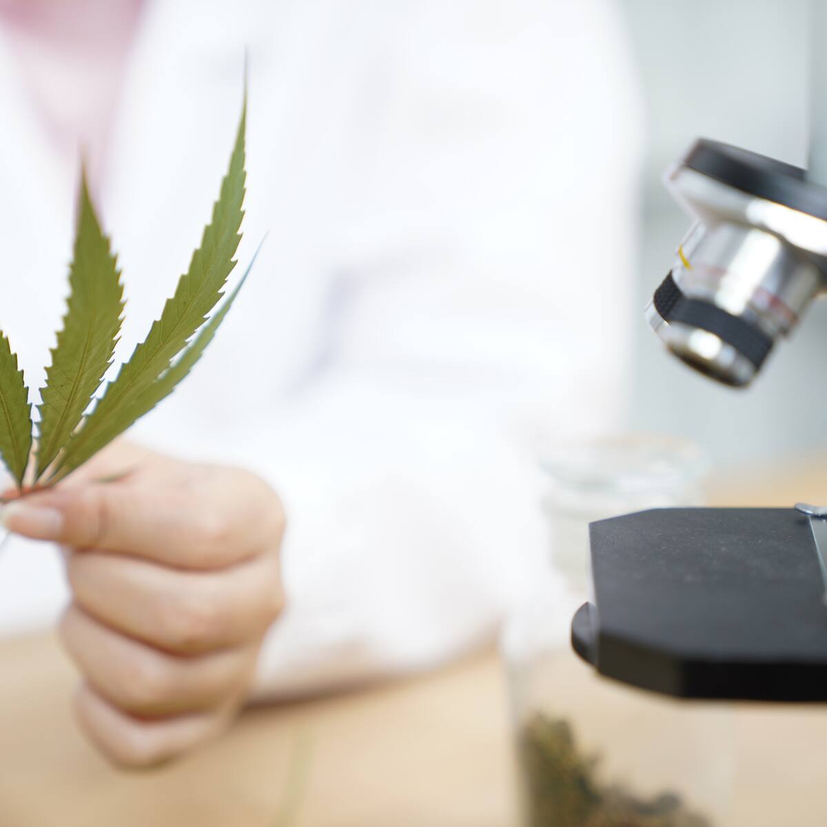 Con gomitas de cannabinoide, empresa colombiana Clever Leaves entra al mercado del consumo en EE. UU.