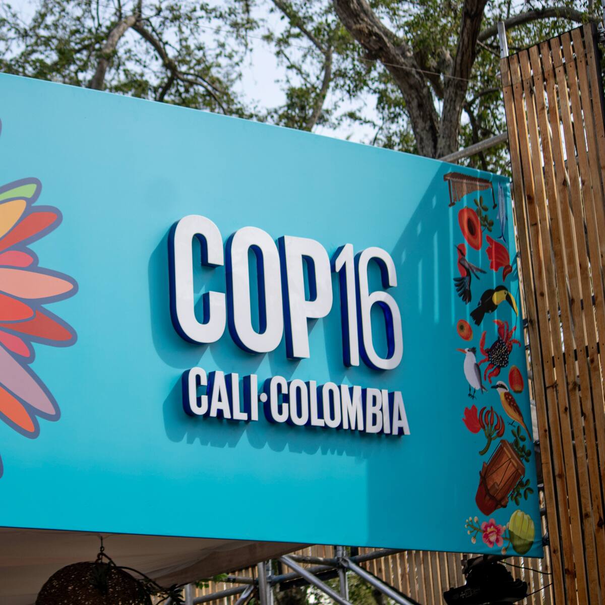 ImPACTO por la Biodiversidad: un encuentro sobre el futuro de los ecosistemas colombianos