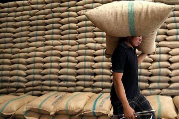 Referencia Núcleo arrocero. Foto archivo: Colprensa