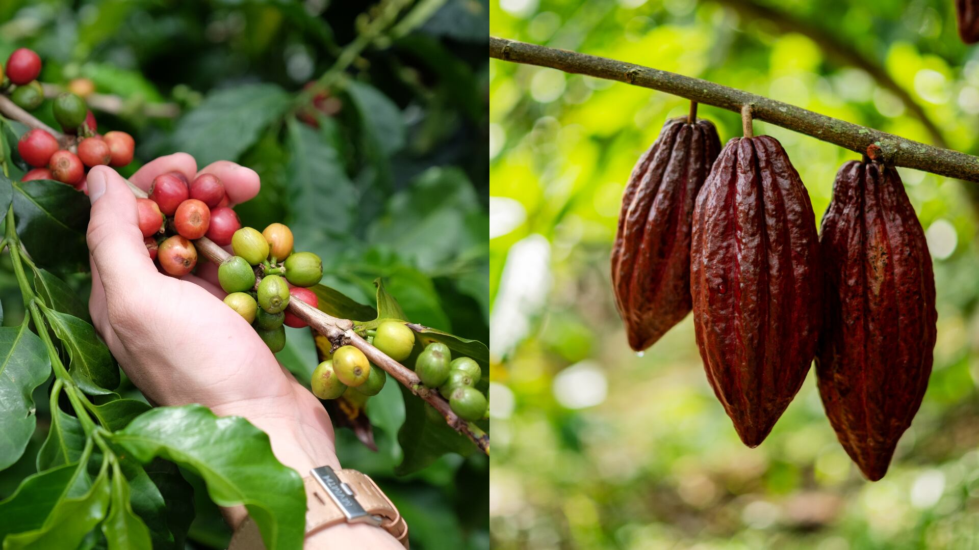Imagen de referencia. Foto: Getty Images