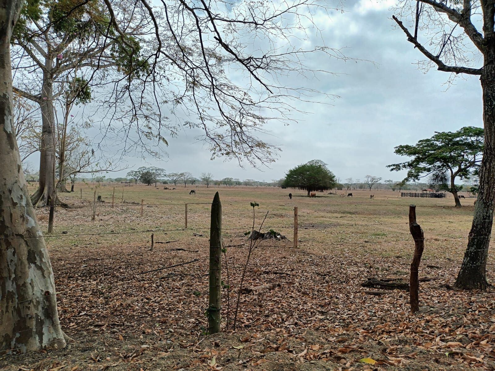 Restitución de tierras. Foto: La W (referencia).