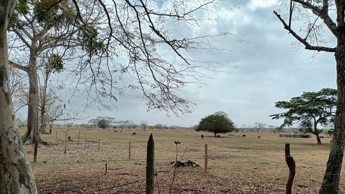 Denuncian trabas y demoras en procesos de restitución de tierras