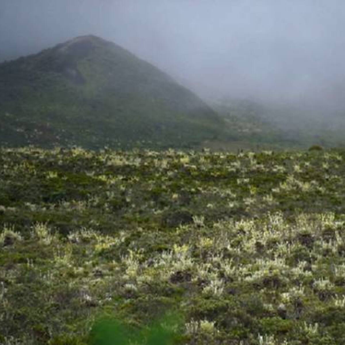 La ANT declaró al Sumapaz como zona de reserva campesina