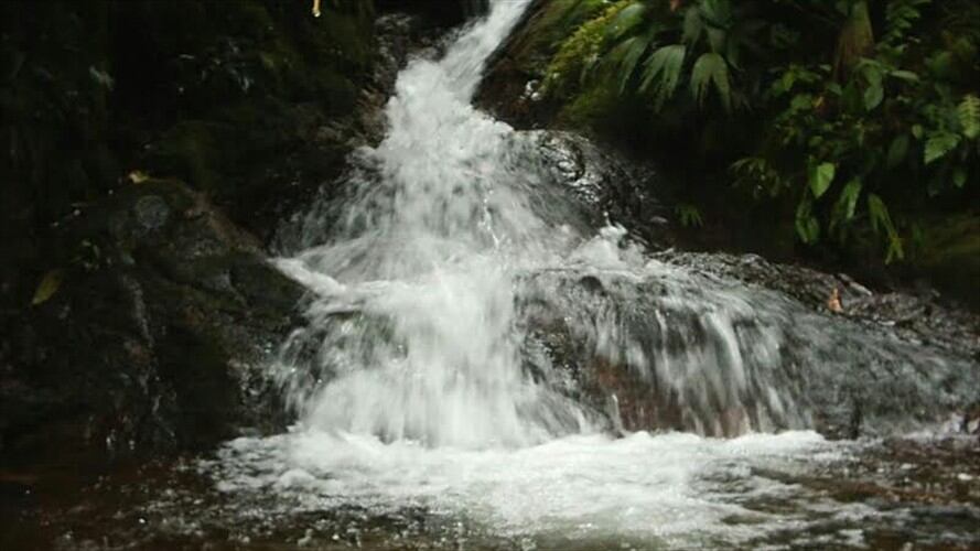 El pequeño iba con su madre hacia su vivienda en la vereda Guayaquil, Resguardo de Quintana, cuando accidentalmente cayó a las aguas. Organismos de socorro realizan operativos de búsqueda. . Foto: Colprensa