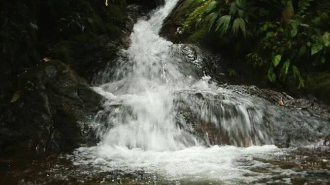 El pequeño iba con su madre hacia su vivienda en la vereda Guayaquil, Resguardo de Quintana, cuando accidentalmente cayó a las aguas. Organismos de socorro realizan operativos de búsqueda. . Foto: Colprensa