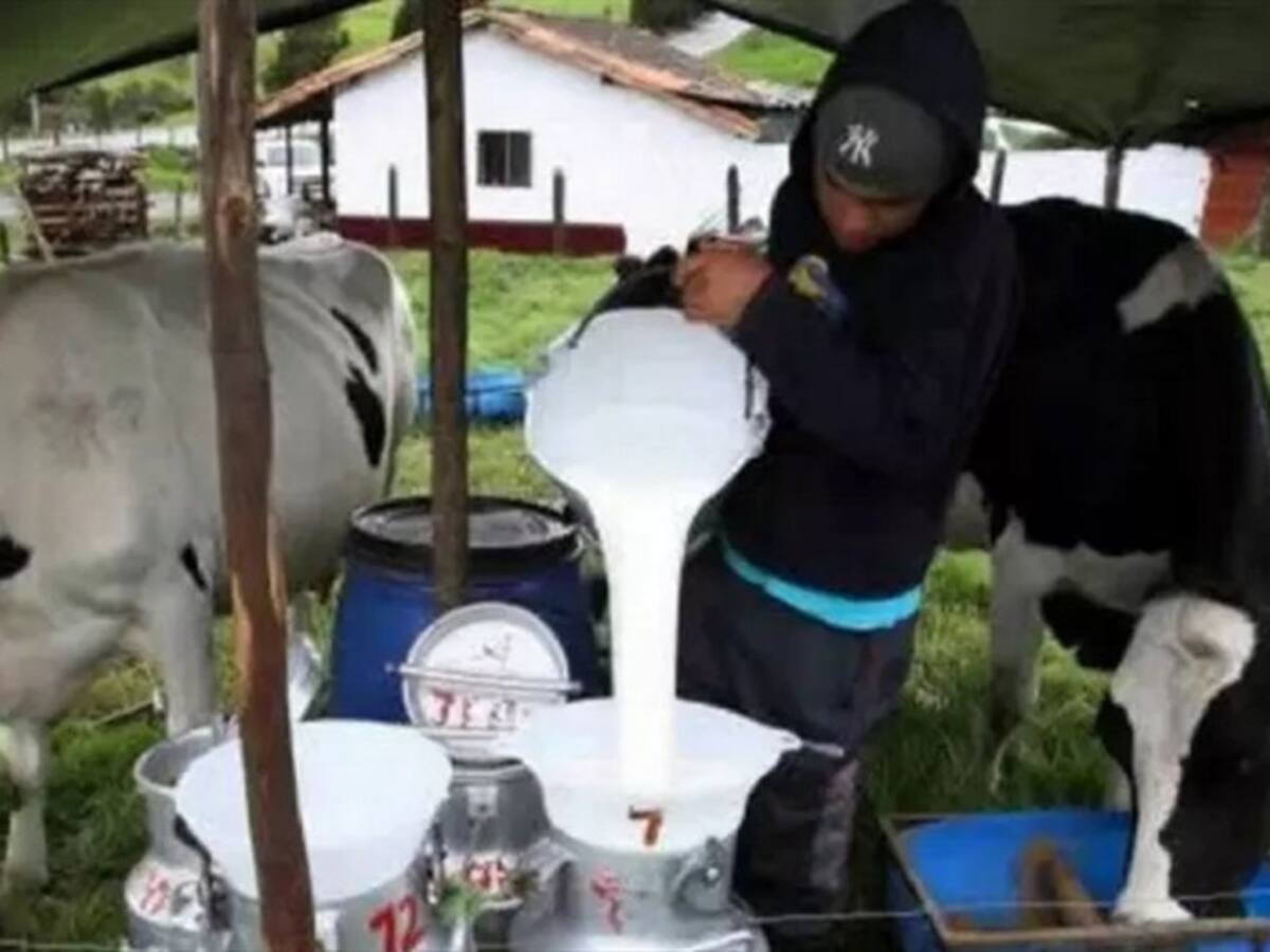 Ganaderos de Norte de Santander manifiestan preocupación por importación de leche