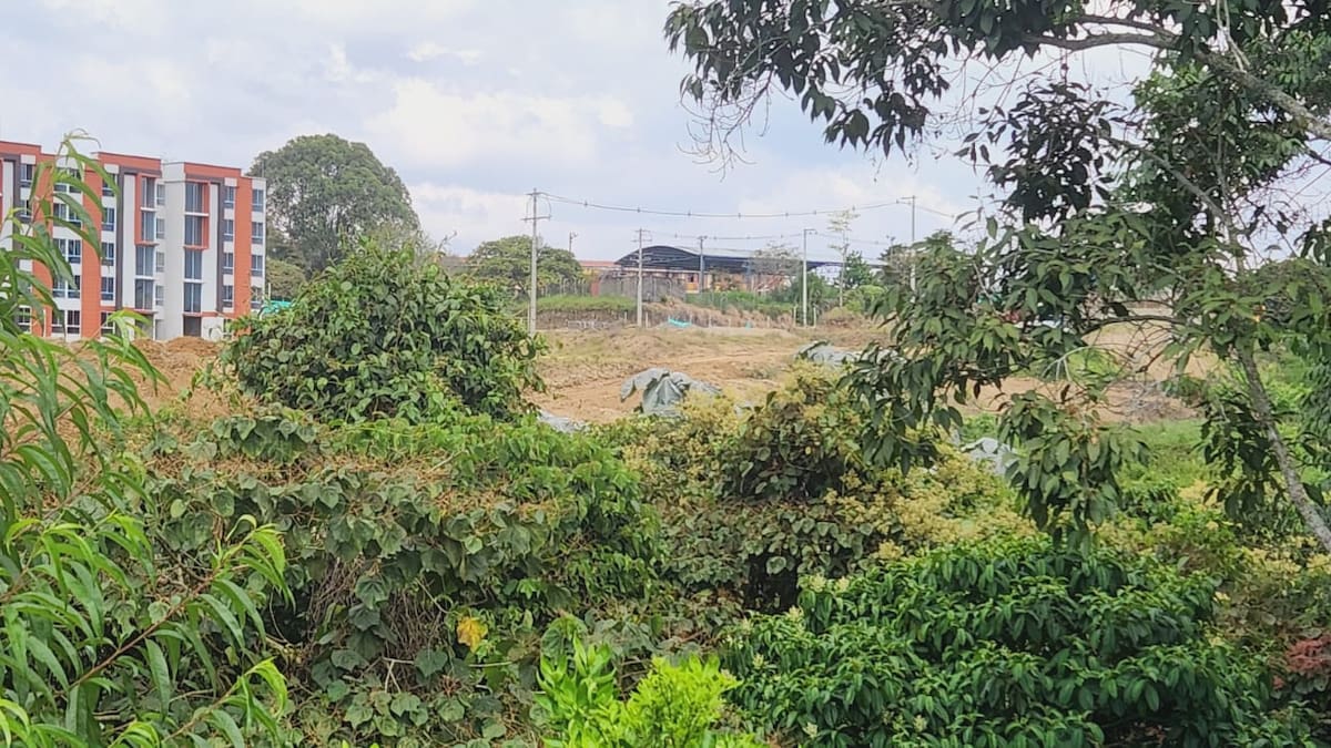 Denuncian construcción ilegal en Quindío: ¿hecha la ley, hecha la trampa?