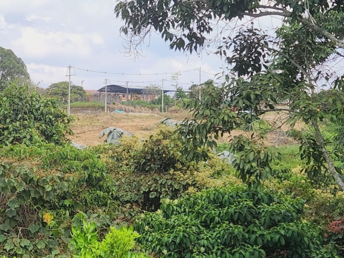 Denuncian construcción ilegal en Quindío: ¿hecha la ley, hecha la trampa?