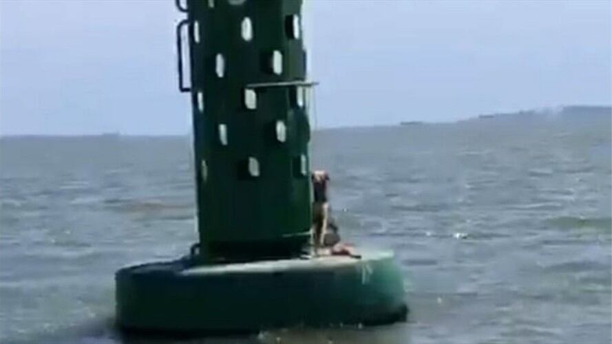 Caso de maltrato animal en Cartagena. Foto: Cortesía Antonio Canchila