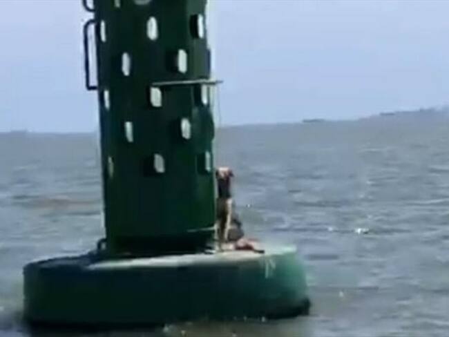 Caso de maltrato animal en Cartagena. Foto: Cortesía Antonio Canchila