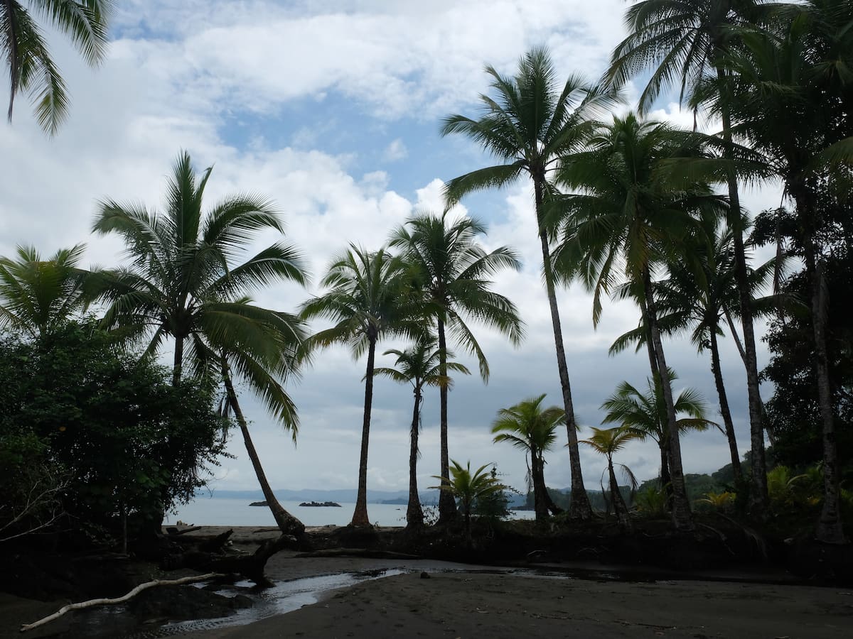 Este es el departamento con la costa más larga de Colombia: Tiene más de 50 km de línea costera