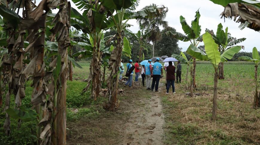 Foto: Prosperidad Social