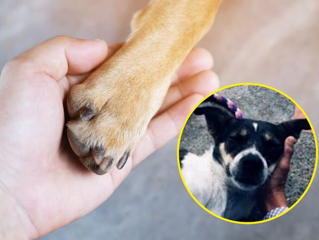 Foto: GettyImages y suministrada por Fiscalía