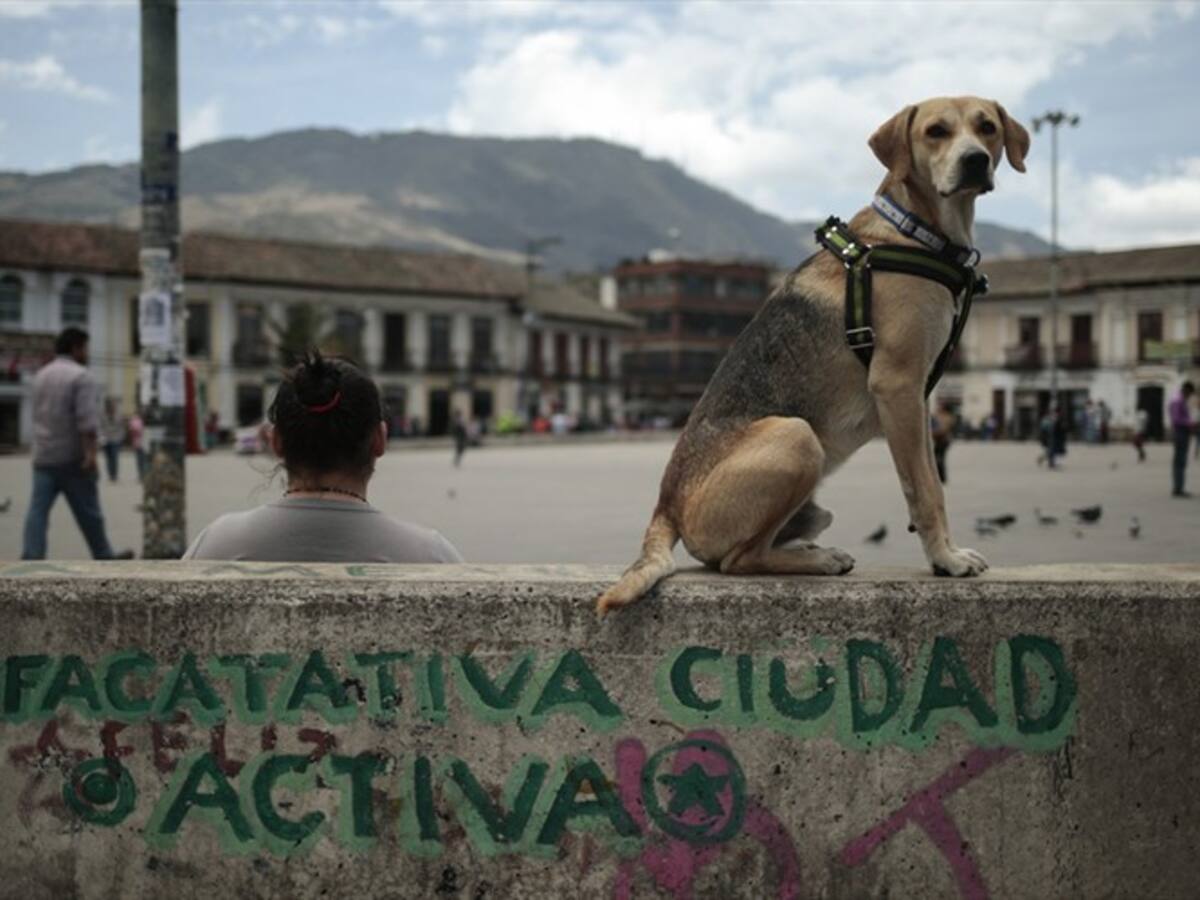 Facatativá pide que se mantenga seguridad durante curso a guerrilleros de las Farc