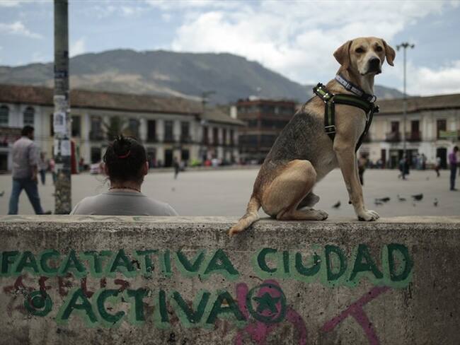 Facatativá pide que se mantenga seguridad durante curso a guerrilleros de las Farc. Foto: Colprensa