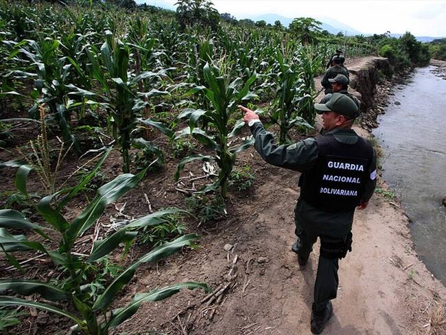 Esta ola de violencia en la frontera, gestada por el dominio territorial entre bandas criminales, ha sido denunciada por defensores de derechos humanos. Foto: Getty Images