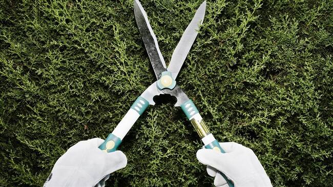 Mujer argentina fue enviada 13 años a prisión por castrar a su esposo. Foto: Getty Images