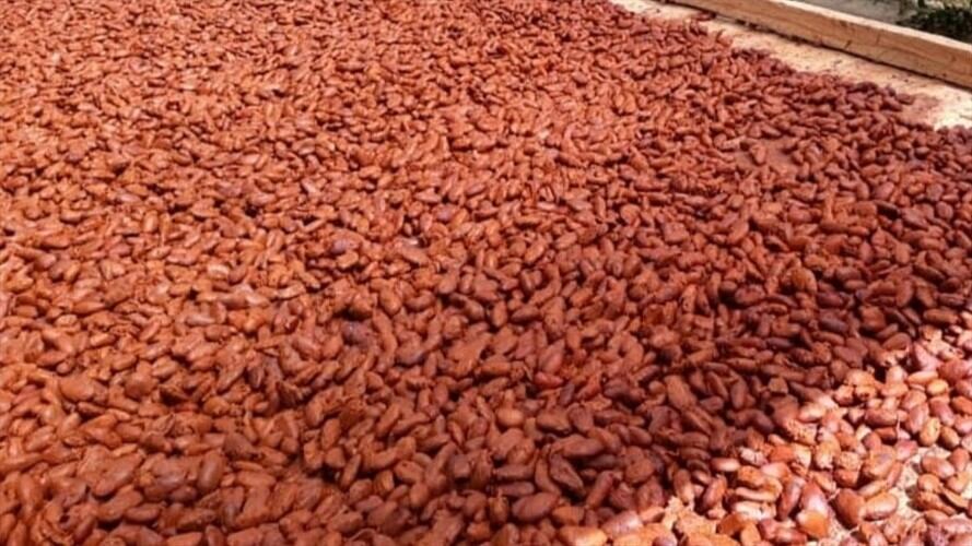 En las próximas semanas la muestra sale para París.. Foto: Gobernación de Boyacá