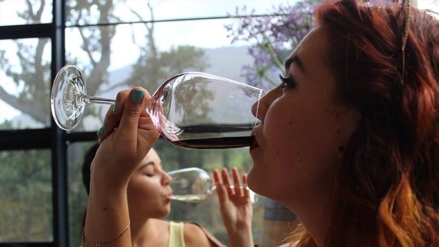 Estudio afirma que las mujeres que no toman alcohol pueden entrar en demencia . Foto: Pixabay