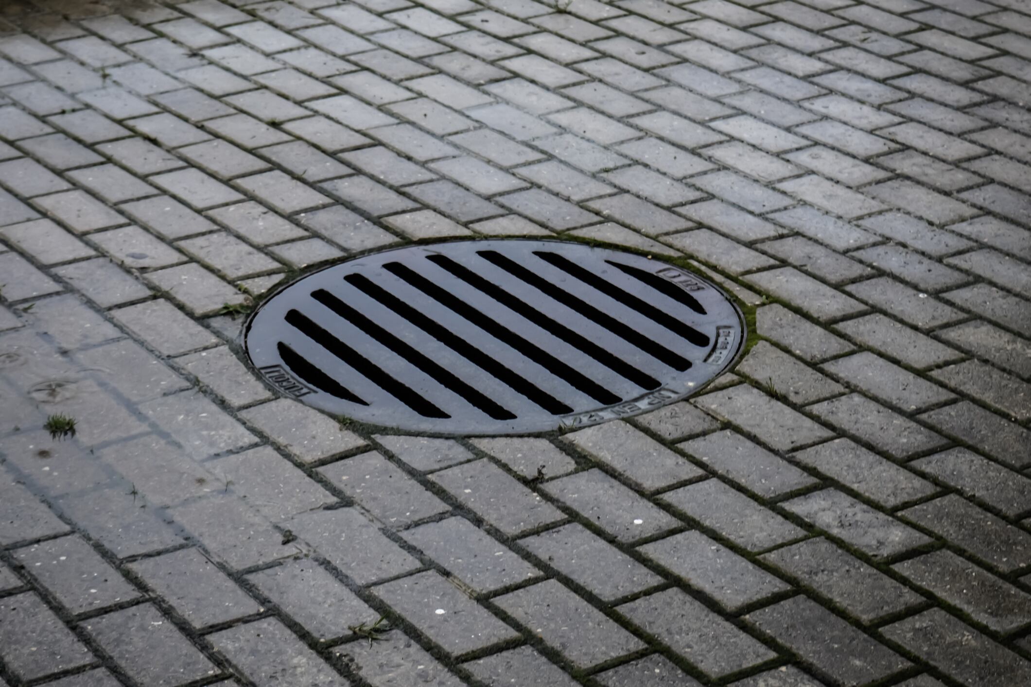 Imagen de referencia. Foto: Getty Images.