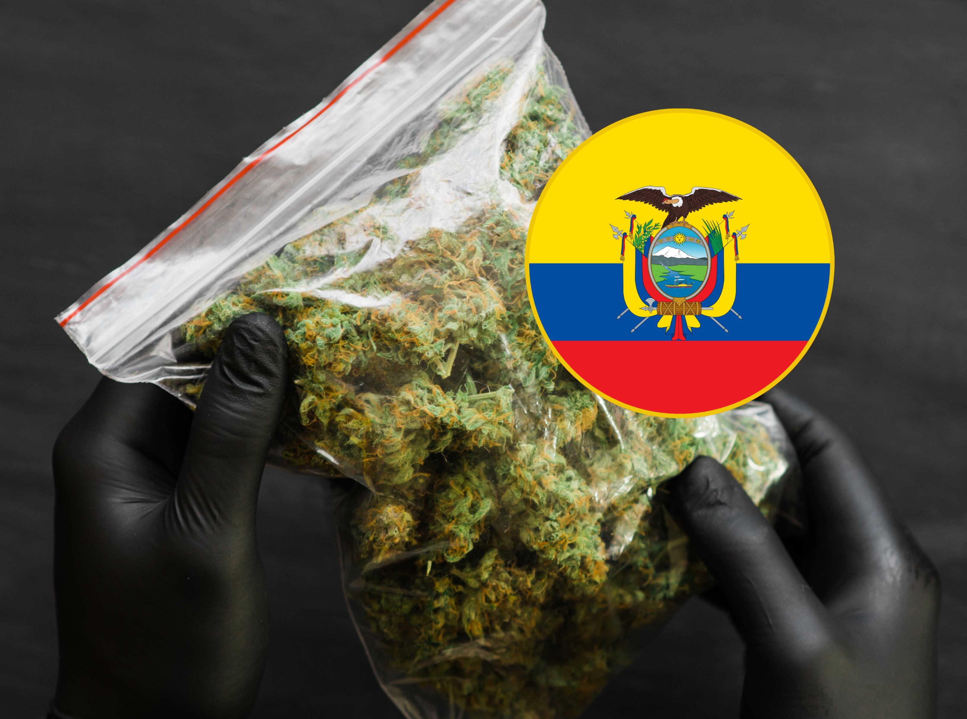 Imagen de referencia Getty Images