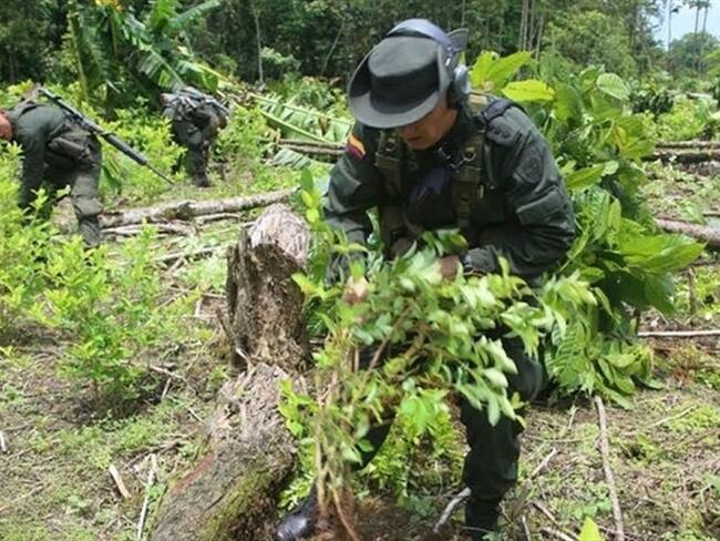 Imagen de referencia. Foto: Colprensa