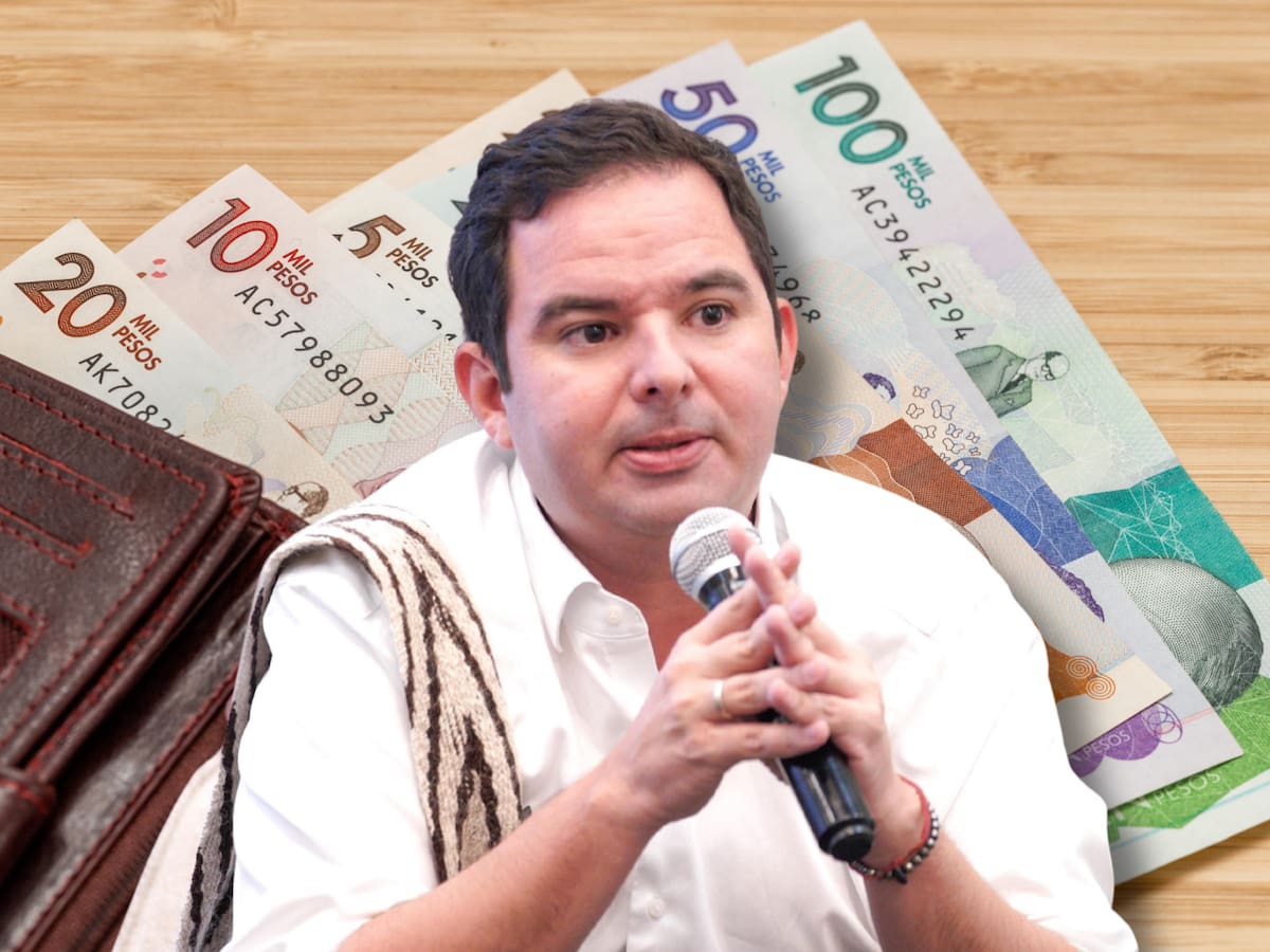 ¿Cuál es el panorama de subsidios y giros con el nuevo Presupuesto General? Senador Meisel explicó
