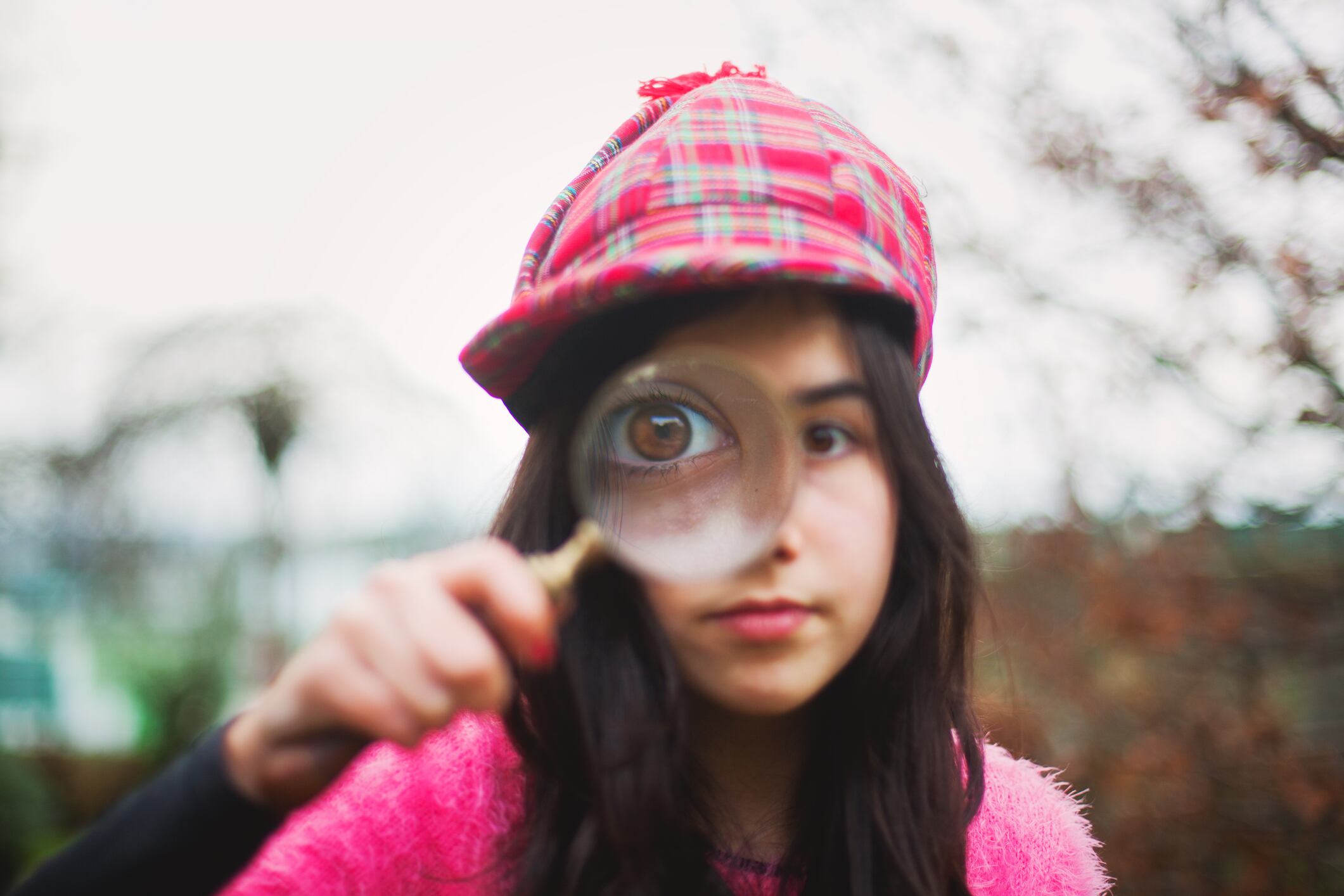 Imagen de referencia.