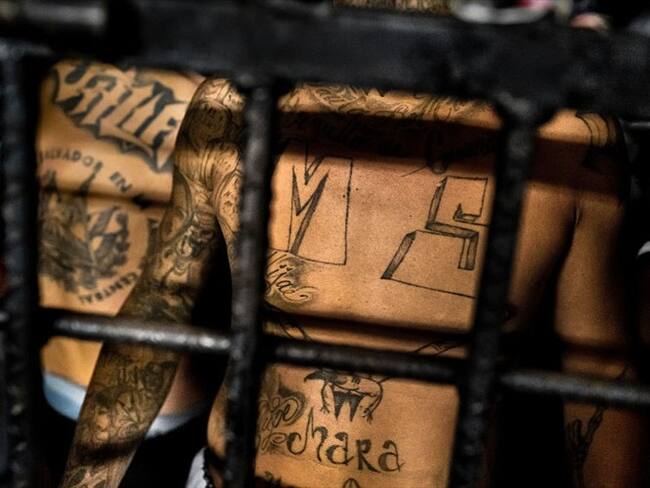 “No van a ver el sol”, las fuertes medidas del Gobierno salvadoreño contra los presos