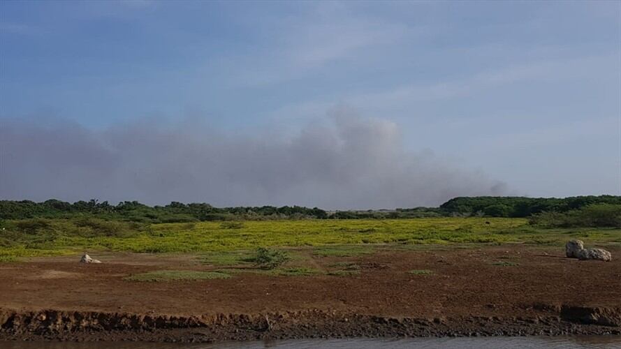 Nuevo incendio en vía Parque Isla de Salamanca. Foto: Suministrada por Parques Nacionales