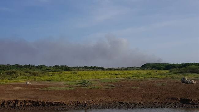 Nuevo incendio en vía Parque Isla de Salamanca. Foto: Suministrada por Parques Nacionales